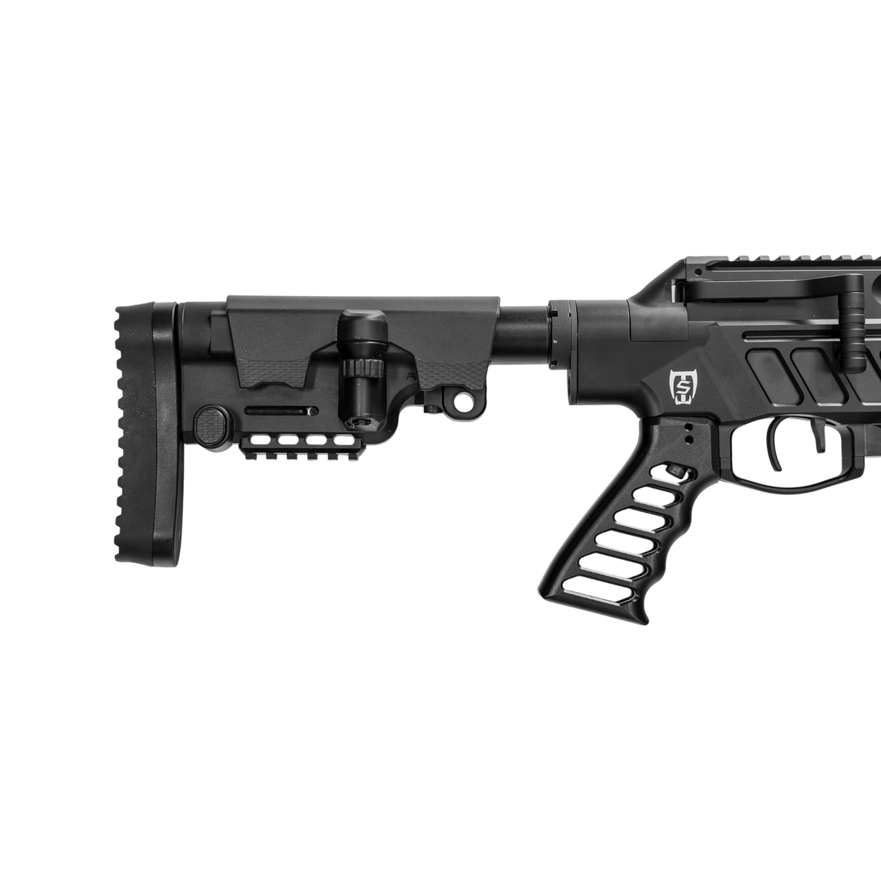 DonnyFL Custom RAW HM1000X Chassis Rifle